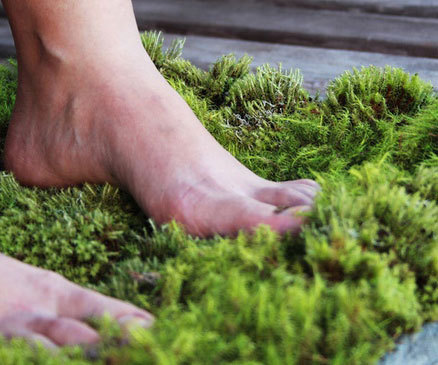 sixpenceee:  A moss bathroom shower mat! This living bathroom mat contains actual moss on the surface that feeds itself through the drops of water that fall unto it, not to mention it feels great on the feet. (Source)