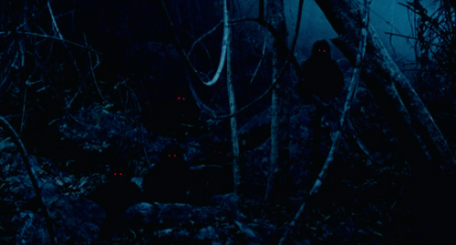 This cave&hellip; It&rsquo;s like a womb, isn&rsquo;t it? I was born here in a life I ca