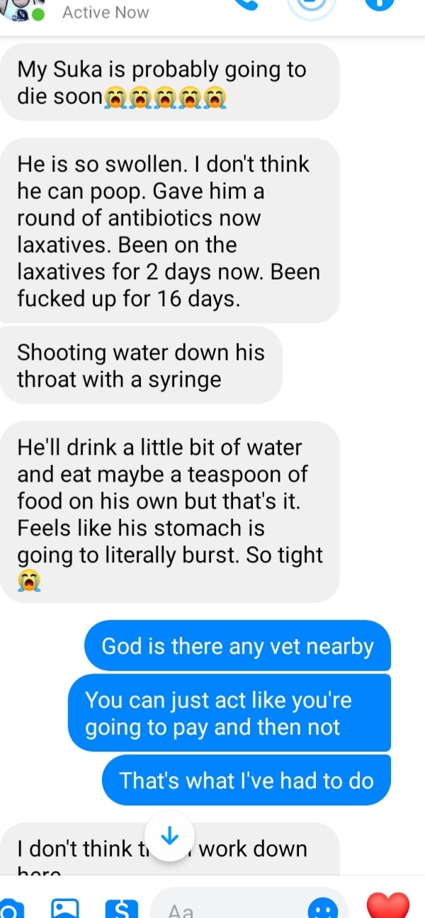 Sorry Guys But My Cat Is Going To Die Soon If He Doesn't Get Some Help