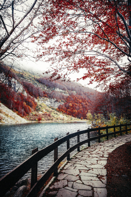 elenamorelli:
“ { autumn walk }
”
blue and red