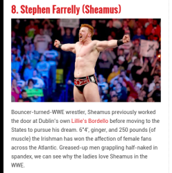 breakyoursoulapart:  simplemaggot000:Sheamus!