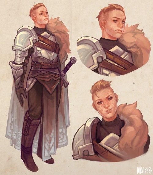 wearepaladin:Oath of the Crown Paladin by