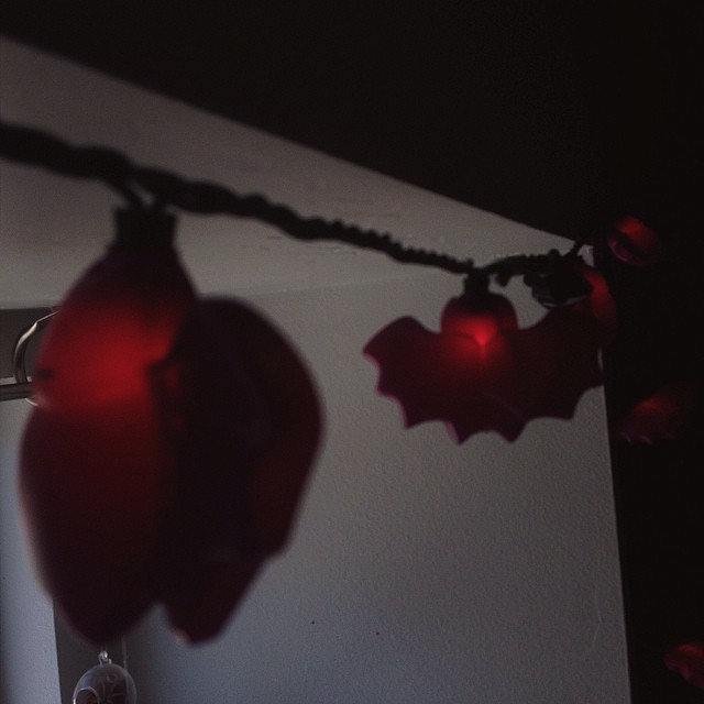My new lights are too perfect!🔮
