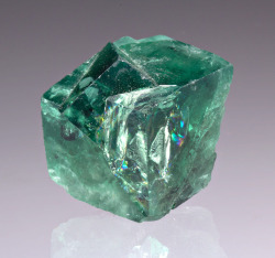 fuckyeahmineralogy:  Fluorite; Rogerley Mine, Durham, England 