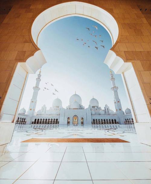 Sheikh Zayed Mosque in Abu Dhabi @