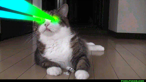 tumblr_mgj8o0UOaO1s34b2qo1_500.gif