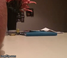 bobafettlife:  sar1616:  justcocks2:  Wow, slow motion gif of a soft long cock falling onto a table  ……rewind = 😁   Cocks can actually do this