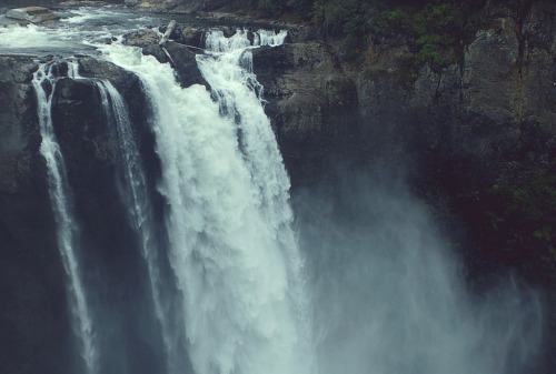efidelity:   ~I look at you and my feelings fall apart, remembering everything just makes things harder. I remember and I feel lonely. Everything doesn’t fit in my life as much as it used too. I feel like my love for you was a waterfall that once it