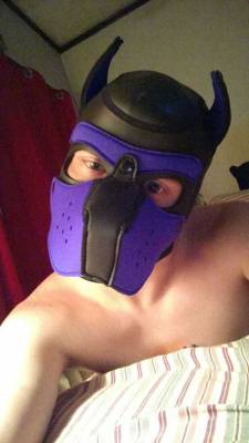otter-pup-the-pup:  Wruff Wruff.   *Wags"