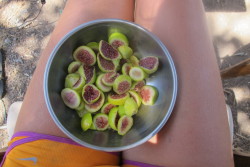 fruity-future:  … and the figs fo’ free :))