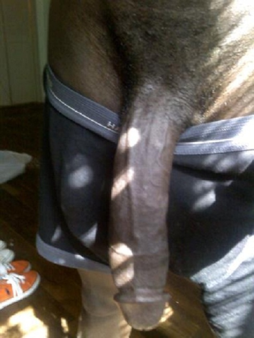 Porn photo PRAISE BIG BLACK PENIS! monsters-of-the-cock: