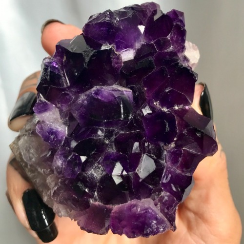 foolishandfurious: starborn-witch: Amethyst so purple it’s nearly black brain: eat itme: what?