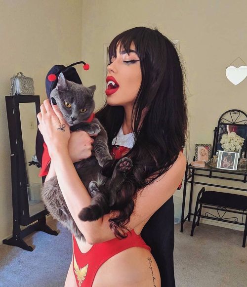 Show us your #cats as a #coffincutie ❤️ @magicalmystique ⚡️ #vampirella #coffincuties #witchyvibes #