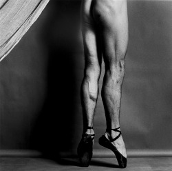 carangi:  Peter Reed by Robert Mapplethorpe