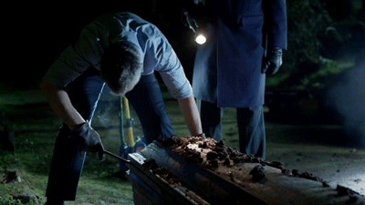 deducinq:  Even Sherlock’s mind ships them…
