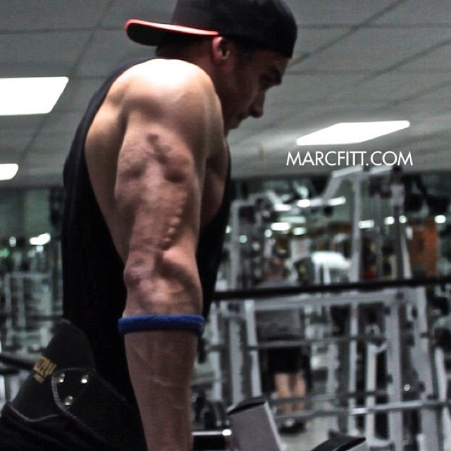 officialmarcfitt:  The resurrection of Triceptoraptor! I was greatly challenged during