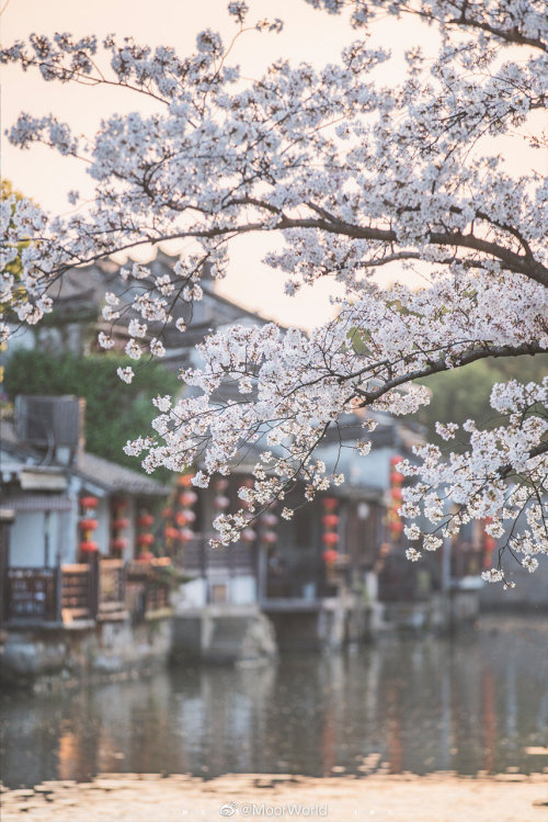 fuckyeahchinesegarden:西塘 xitang, jiaxing, zhejiang province by MoorWorld