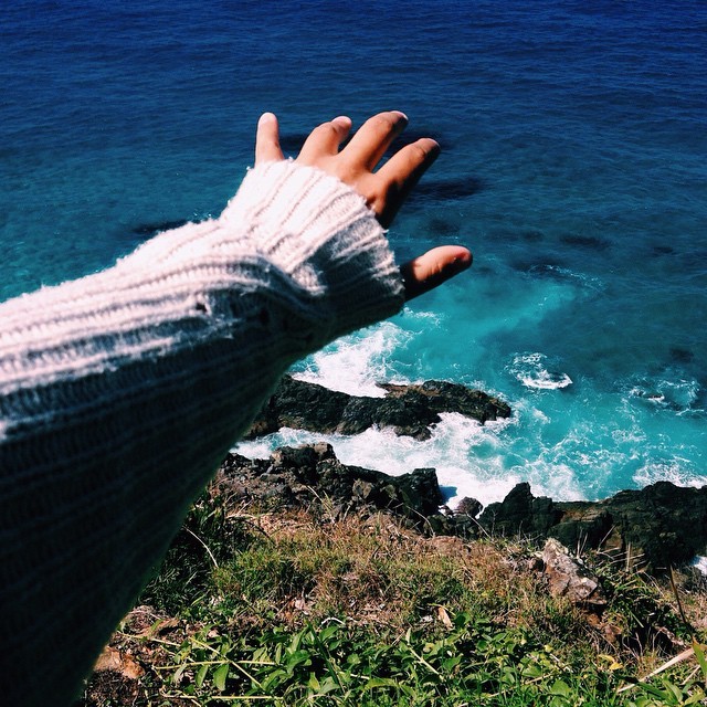 exotic-elephant-s:   tropical blog following back similar 