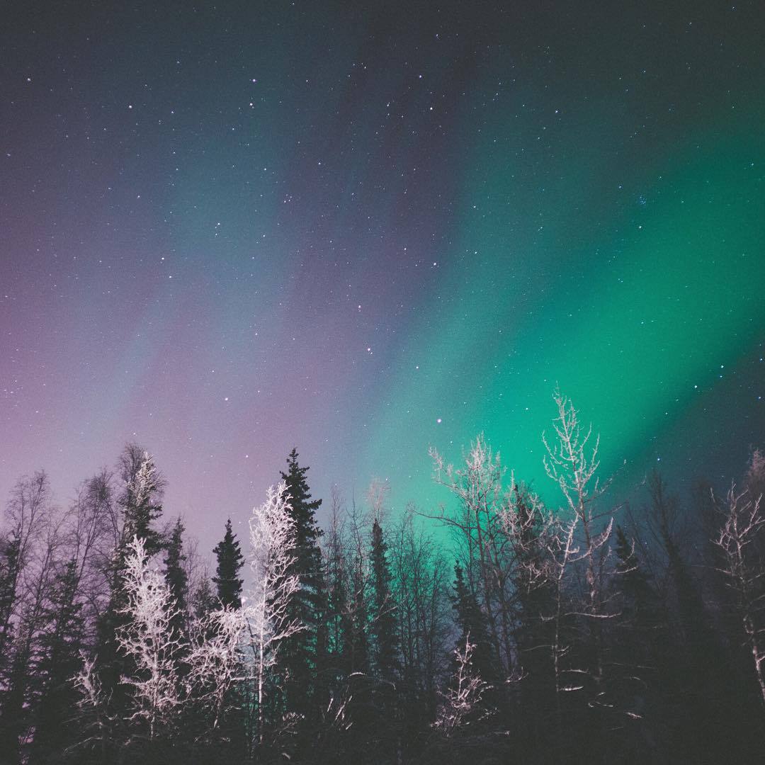 vintagepales:    Fairbanks, Alaska by  mightykills   