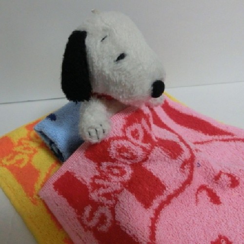 cocorolink164:スヌ「ん？朝？」　#スヌーピー #SNOOPY