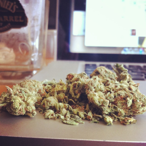 Good vibes & Stoney eyes