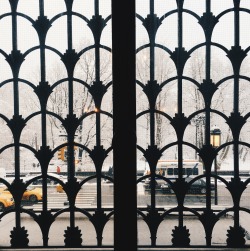 amnhnyc:  A snowy view of Central Park from