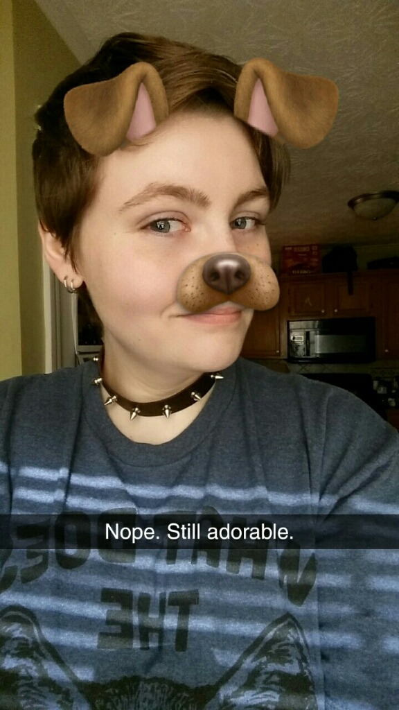 p0cket-pup:The spiked collar I ordered to make me look more tough can in the mail