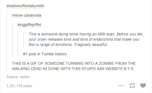 makeuphall:  CHALLENGE: Can you get through these 33 funny tumblr posts without laughing once? 