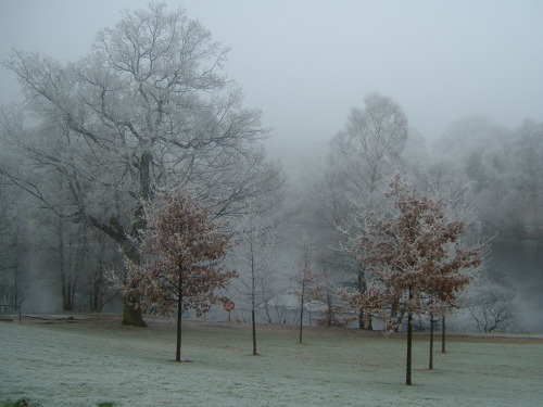 2006