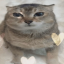 netfvl