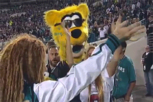 sizvideos:  Watch the hilarious moment when a mascot pies a Texans fan with cake