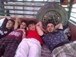 adam49:  Cute Yemenis  I want to lay with them, next to the red one&hellip;..