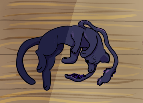Our Warlock Insisted On Adopting This Displacer Kitten After It Attacked The Party In A Cave