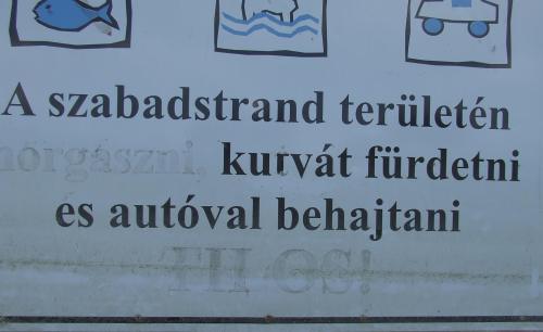 kittyna06:  pleaseinsertacoin:  secfromdisaster:  mrskreatif:  Na ehhez mit szóltok :D  és ha fizetünk érte?  ouch.  meow  