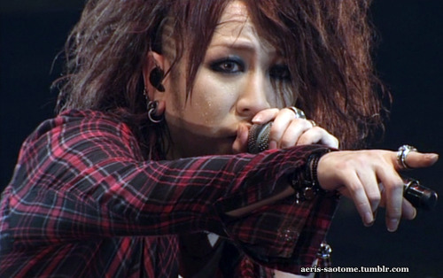 DIMSCENE TOUR &lsquo;09 - RUKI