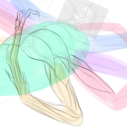 I Think Everyone Should Learn Some Amount Of Anatomy Because Then You Can Make Your Own Anatomy