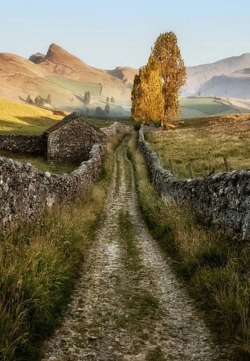 landscape-lunacy:Yorkshire Dales, England - by Lars Van De Goor