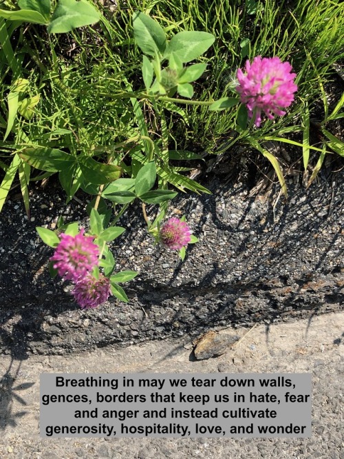 Breathing in may we tear down walls, fences, borders that keep us in hate, fear, and anger and inste