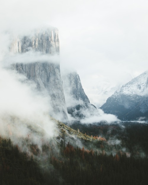 bryandaugherty:  Yosemite National Park