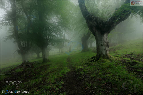 Tiempo de primavera - Spring time by Josu Perianes Camera: Canon EOS 5D Mark II