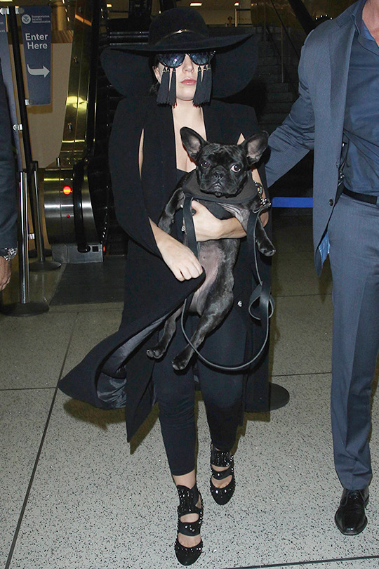 gagasgallery: Gaga arriving at LAX Airport. 4.17.15
