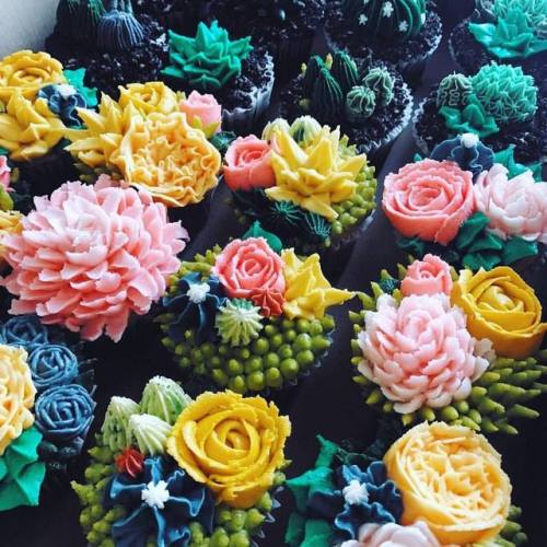 Cupcakes for breakfast?! These little succa inspired beauties are almost too pretty to eat ☄  #succl