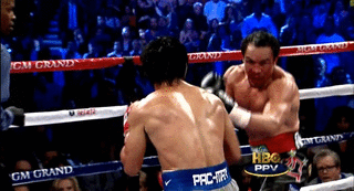 boxingsgreatest:  Juan Manuel Marquez  On His Legendary Night When He Knocked Out The Great Manny Pacquiao.