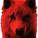 abadwolfinsearchofhisdearest avatar