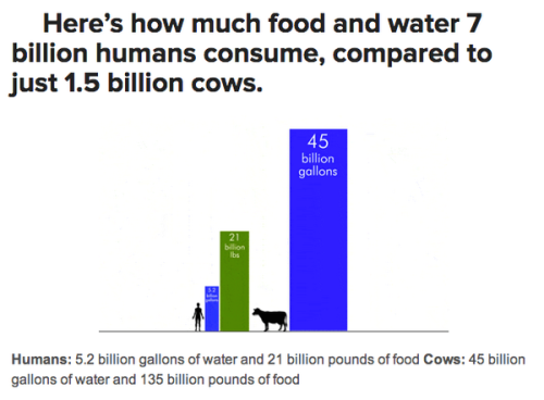 america-wakiewakie:Watch the Film “Cowspiracy” and Find More Facts Here