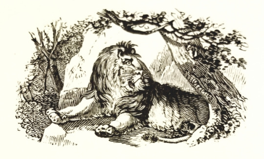 detroitlib: #Caturday! From our stacks: Illustrations from A Collection of One Hundred