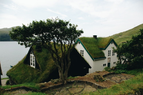 green roofs