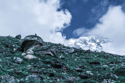 Rocky Ridge by Dan ScottiTaken in the Annapurna mountain range in Nepalon Society6