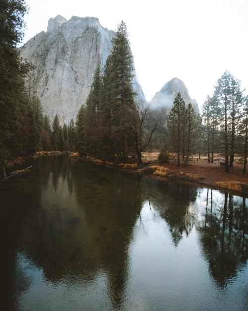 bryandaugherty:Yosemite National Park
