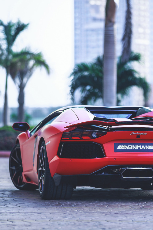 captvinvanity:  Red Beast |Photographer | CV